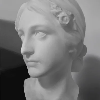 Classical bust study